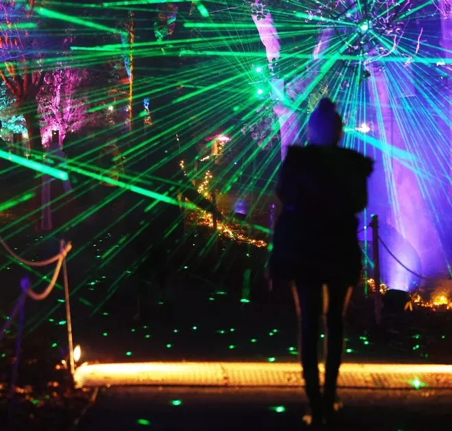 ‘I visited this popular Christmas light trail and was blown away by the experience’