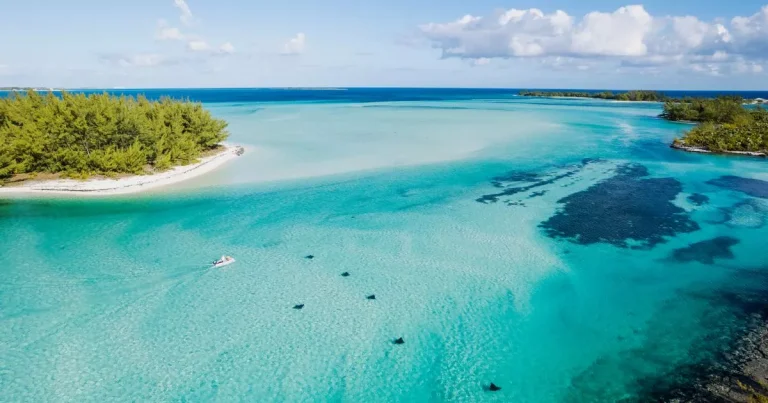 ‘I went on a cruise for the first time and this is my top space-saving packing tip’