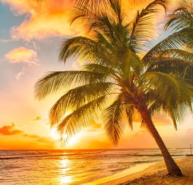 ‘I found the best food in the Caribbean on this tiny island loved by Holly Willoughby’