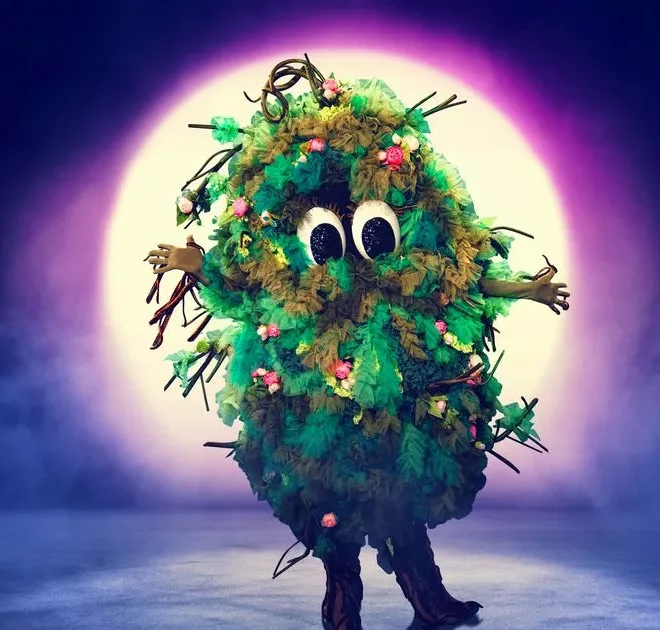 Masked Singer fans ‘positive’ Bush is a popstar – after spotting major clue