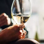 Wine lovers divided as world’s first tender stem broccoli tipple is launched