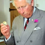 Royal family’s favourite foods revealed – including the King’s secret avocado passion