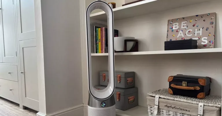 ‘I tried Dyson’s new air purifier to help with hay fever and found another surprising benefit’
