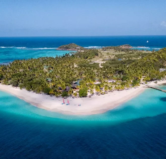 ‘I visited Palm Island for the views but ended up swimming with giant turtles’