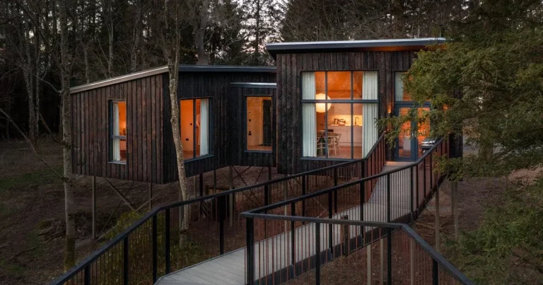 ‘We enjoyed a scenic staycation high above the ground in a secret nook of the Scottish woodland’