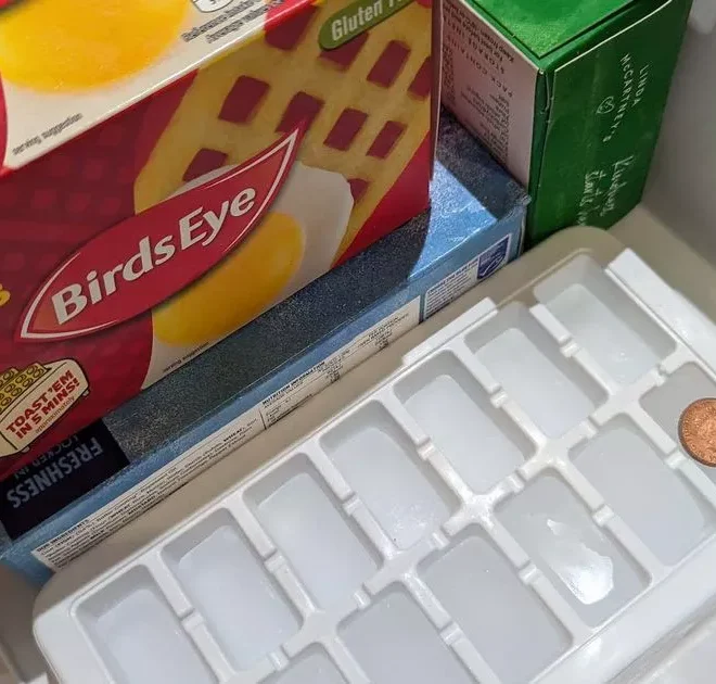 I tried the 1p freezer trick that prevents ‘danger zone’ food – and it worked like a dream