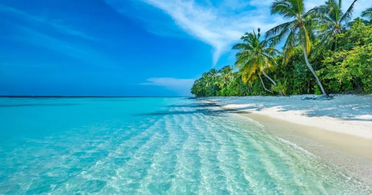Wowcher’s £99 Mystery Holiday deal could see you jetting off to the Maldives or Dubai