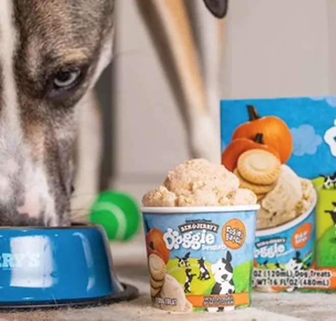 Ben & Jerry’s are launching a range of ice cream for your dog to enjoy