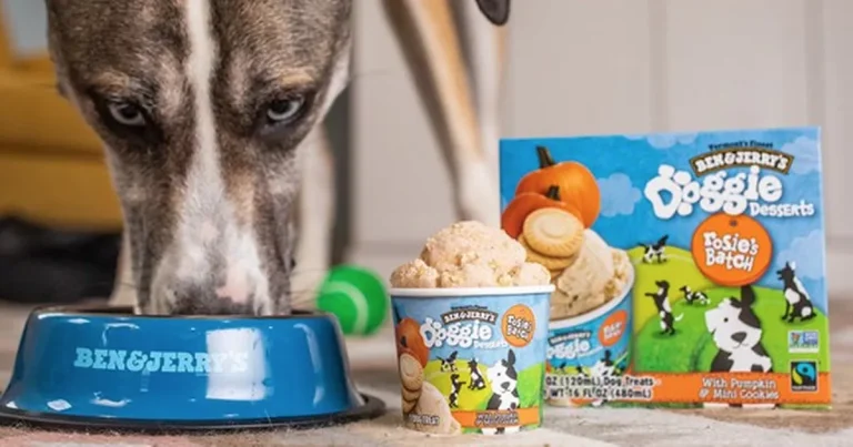 Ben & Jerry’s are launching a range of ice cream for your dog to enjoy